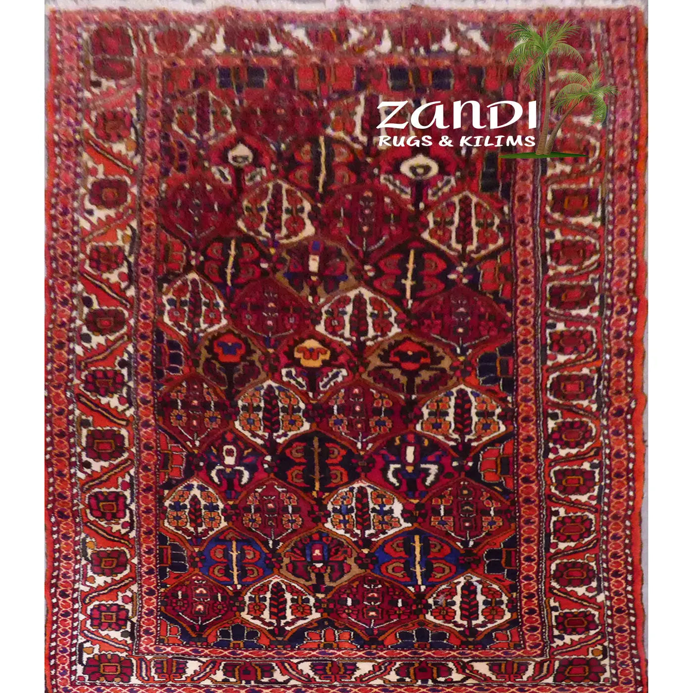 One Of The Kind Persian Bakhtiar Rug 9'10" x 5'1"